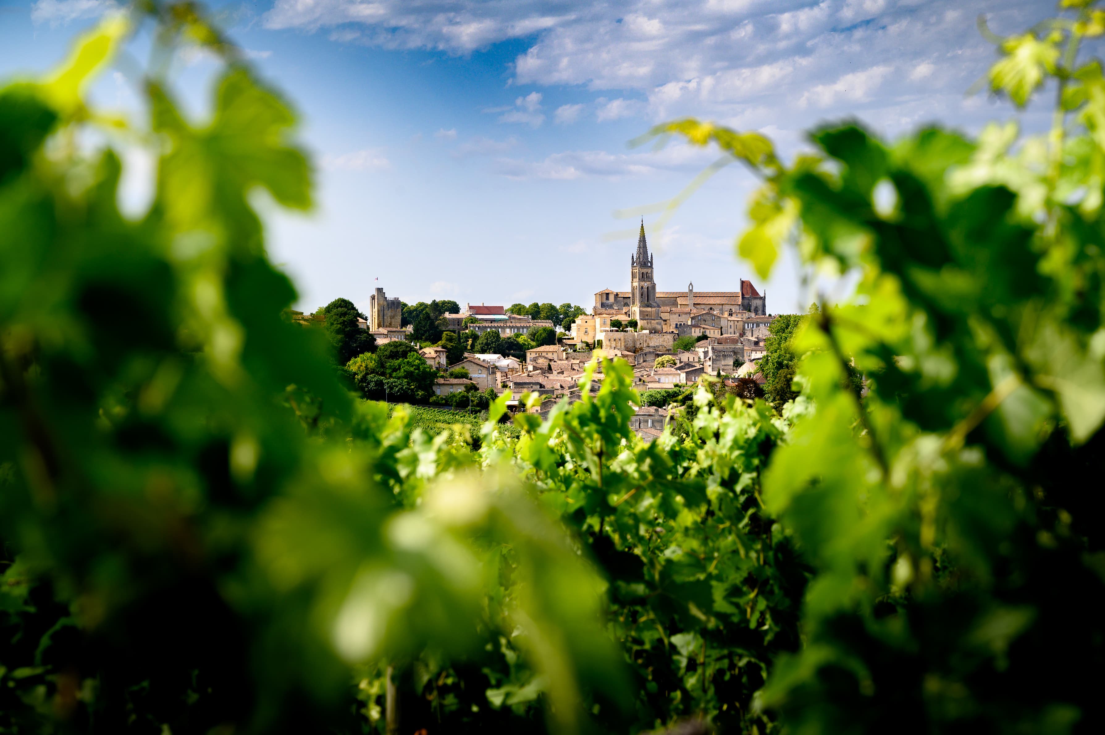 Dégustation de vins